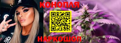 крисы Красноармейск