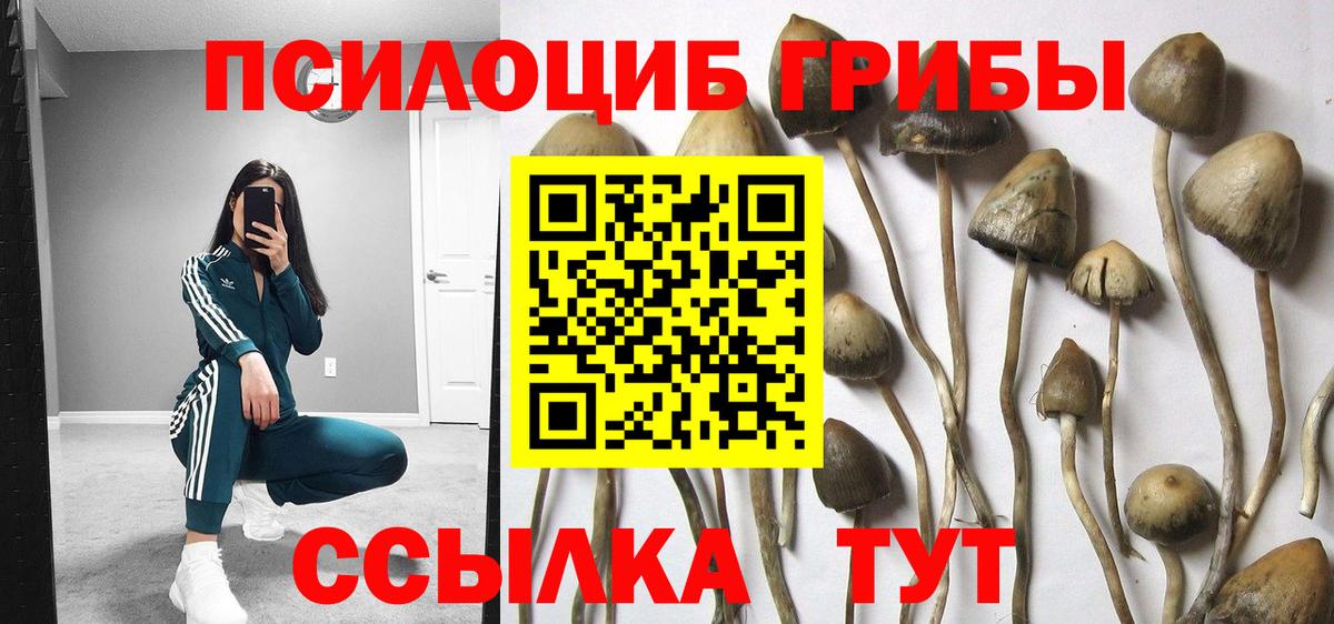 Аша  магазин    Вход с VPN  Галлюциногенные грибы Magic Shrooms 